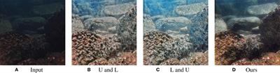 Lighting the darkness in the sea: A deep learning model for underwater image enhancement